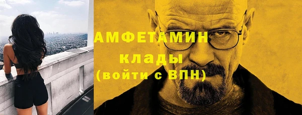 прущие грибы Зеленокумск