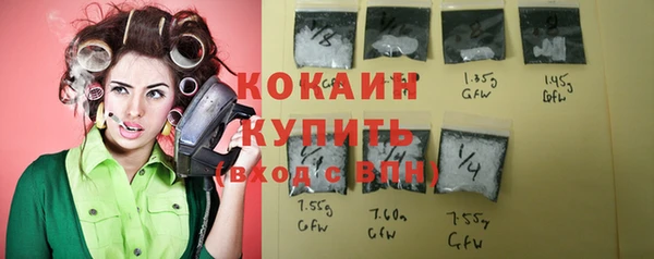 прущие грибы Зеленокумск