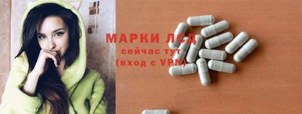 прущие грибы Зеленокумск