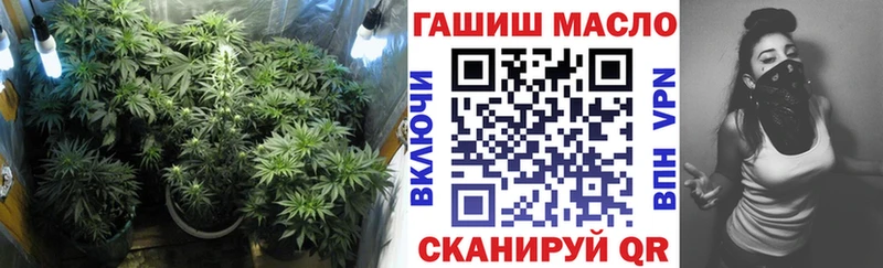 ТГК THC oil  Купить где  Беломорск 