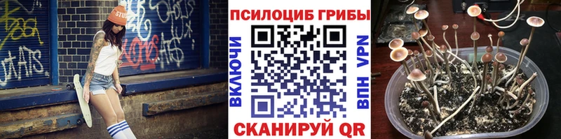 Купить закладки  Беломорск  Псилоцибиновые грибы GOLDEN TEACHER 