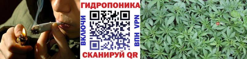 Купить  Беломорск  Шишки марихуана индика 